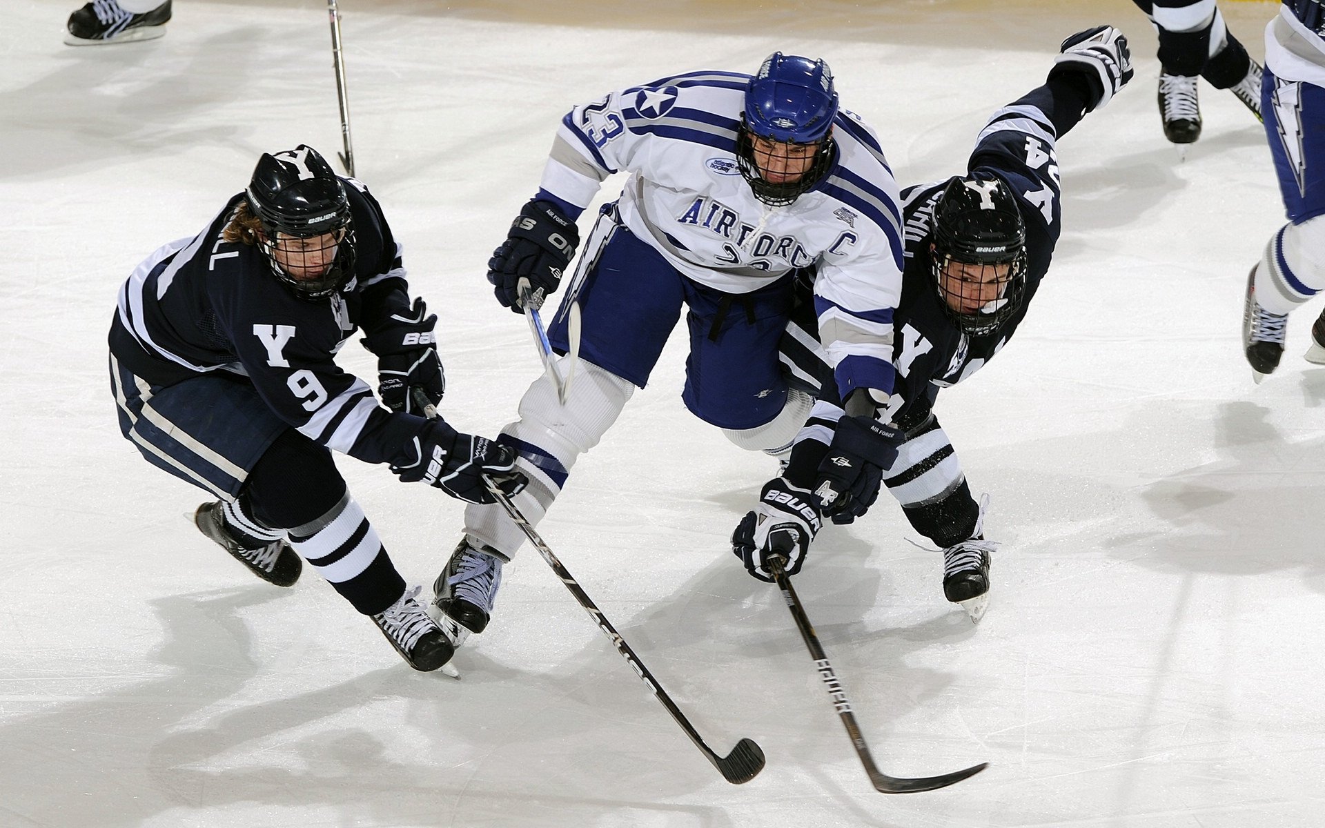 开云体育APP-维斯巴达成功“封杀”对手，赢得荣誉战，维斯复活巴达克是哪一集